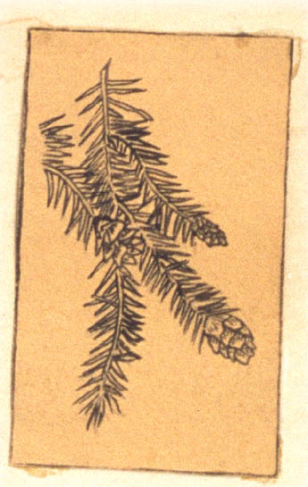 1963-113-024-d1