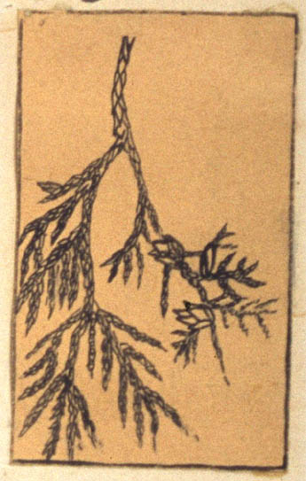 1963-113-024-d2