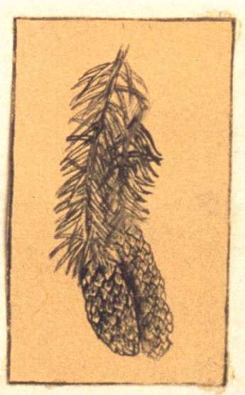 1963-113-024-d3