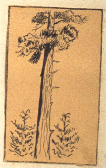 1963-113-024-d4