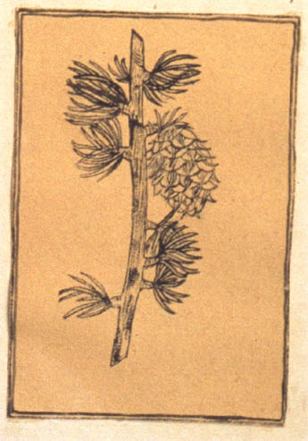 1963-113-024-d5