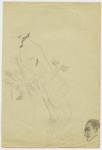 1967-028-040A