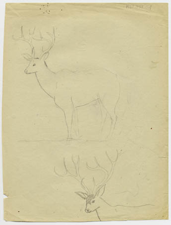 1967-028-041B