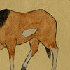 Inkameep Day School Art Collection - Catalogue Image   1963-113-023-d1